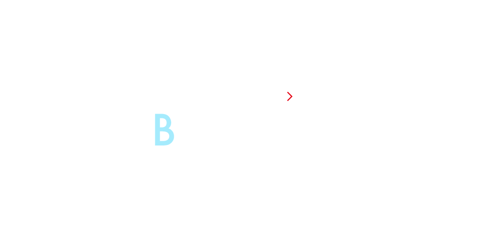 bnrhalf_business